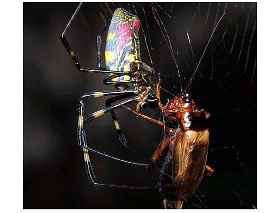 �r�ւ̂��݂�