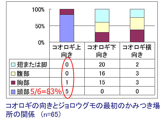 �}�R�R�I���M�̌����ƍŏ��̂��݂��ꏊ