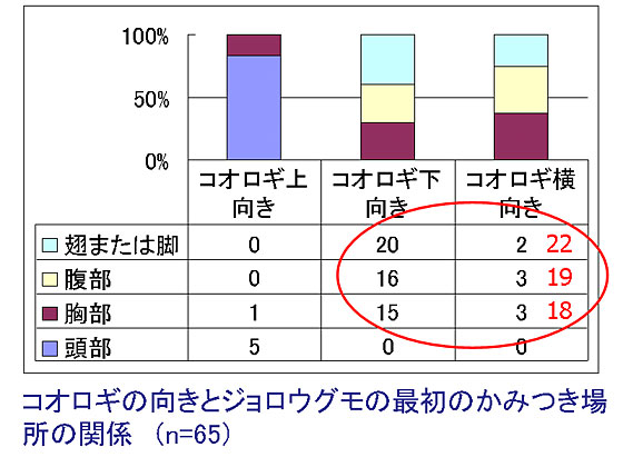 �}�R�R�I���M�̌����ƍŏ��̂��݂��ꏊ