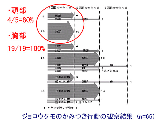 �ŏ��̂��݂��シ�����������ꍇ