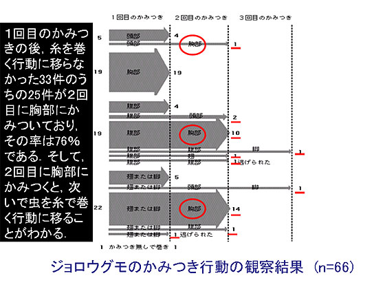 �Q��ڂ̂��݂��s��