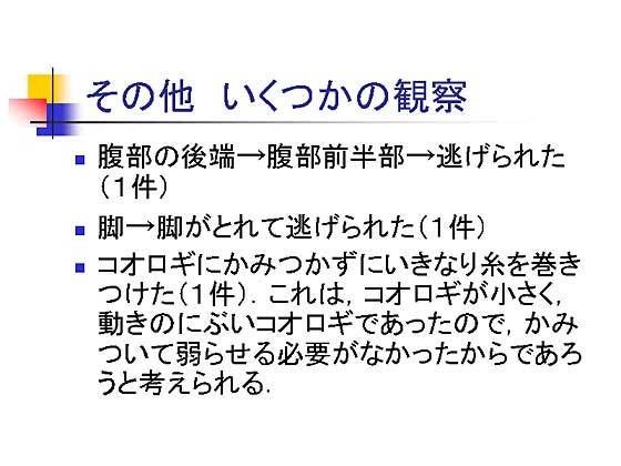 ���̂������̊ώ@