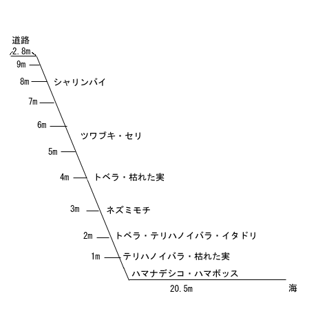 崖のようす